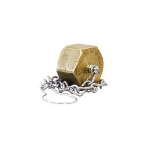 CGA 1450 Brass Dust Cap