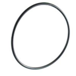 ASME Bullplug "O" Ring
